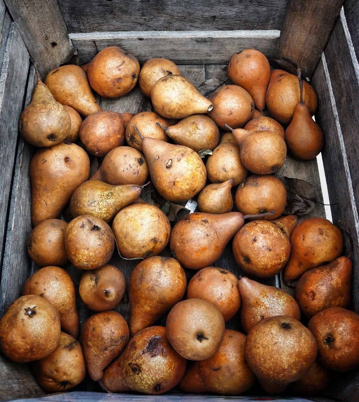 bosc pears in a wood crate