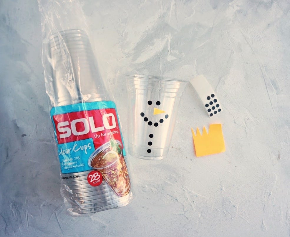 Solo® 18 oz Plastic Party Cup, Solo®