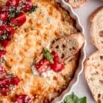 chicken alfredo dip with toasted slices of baguette and bruschetta tomatoes on top